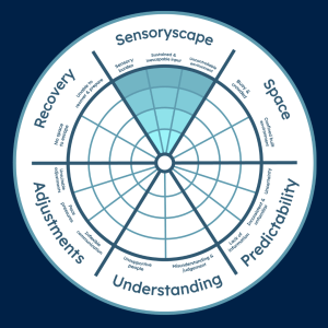 circle split into six sections on a dark blue background. one section titled 'sensoryscape' is highlighted. this section is split into three parts labelled ‘sensory burden’, ‘sustained and inescapable input’ and ‘uncontrollable environment’