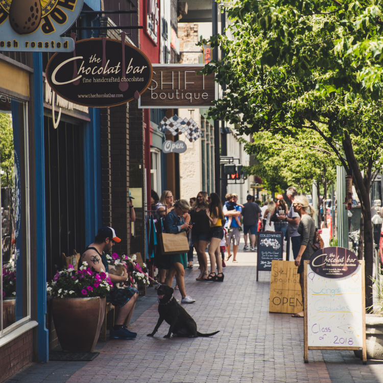 Image of a sereis of shops on a street. On the other side of the pavement are a series of trees that line the street. In front of 'the chocolat bar' shop sits a man with his dog and further along a group of women can be seen outside a store labelled 'shift boutique'